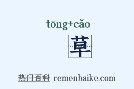 蓪草是什么意思的图片